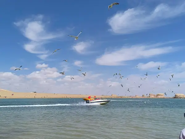 风景
